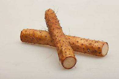 《SAEKO：女巨人恋爱模拟》公布上市日期宣传片